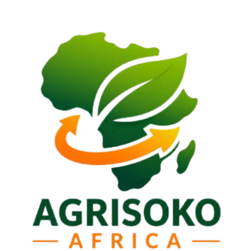 cropped-AGRISOKO-AFRICA-LOGO-removebg-preview