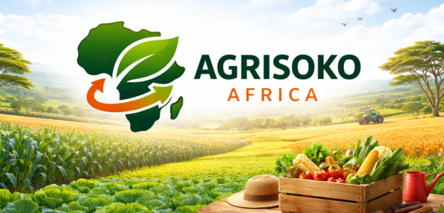 AGRISOKO AFRICA